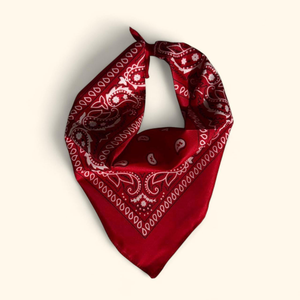 Western paisley bandana scarf in red and white